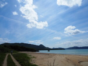 石垣島の海